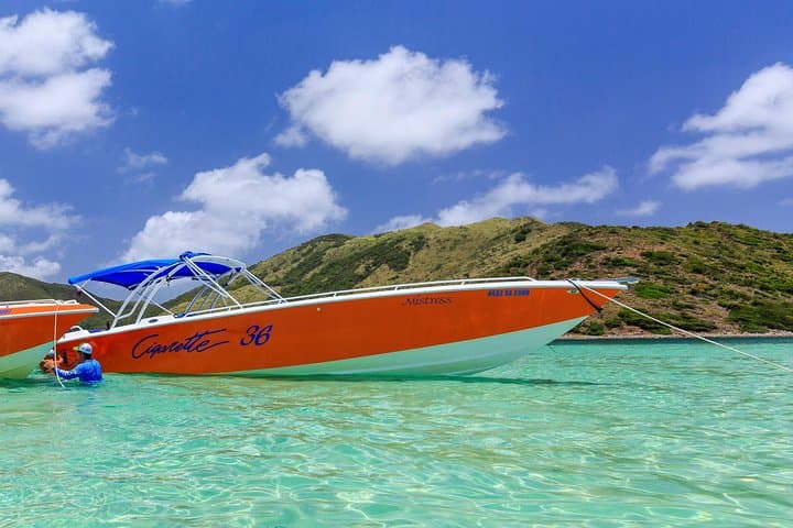 Private St. Maarten Boat Charter: Full-Day Snorkel & Island Stops photo 5