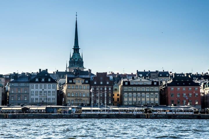 Private Car Tour of Stockholm with Live Guide and Vasa Museum Visit