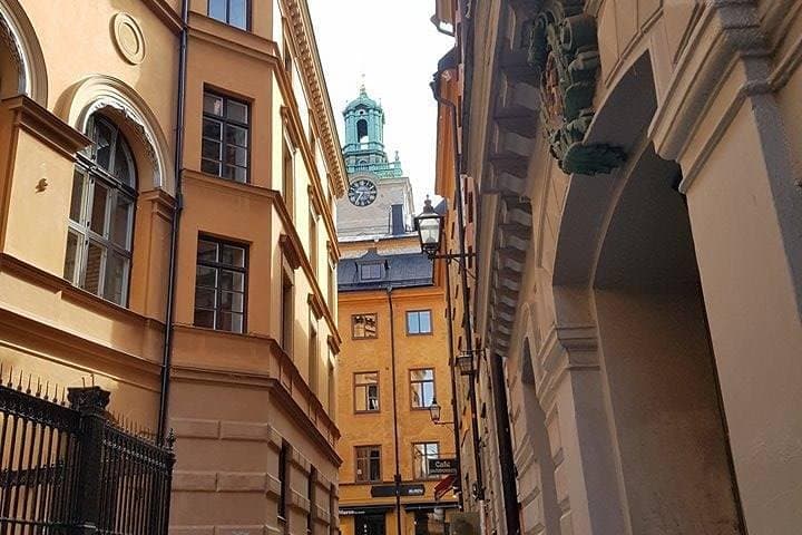Private Car Tour of Stockholm with Live Guide and Vasa Museum Visit photo 6