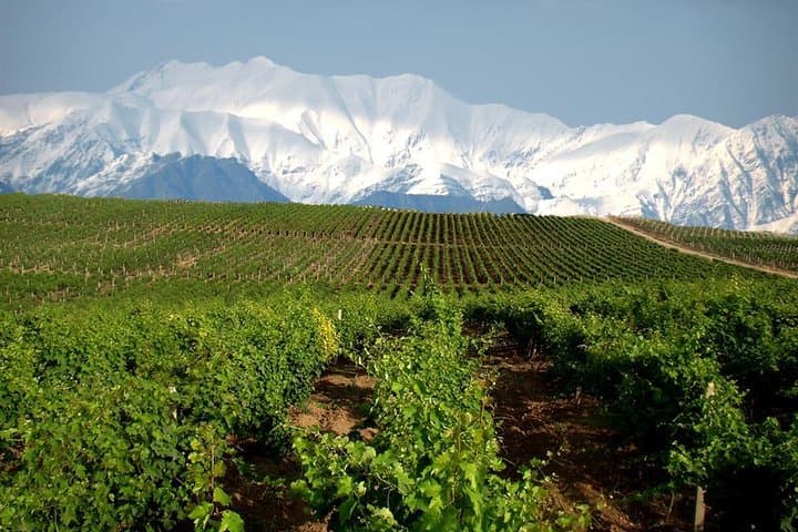 Private Wine Tour in Azerbaijan — Ismayilli & Gabala Winery Visit and Tasting