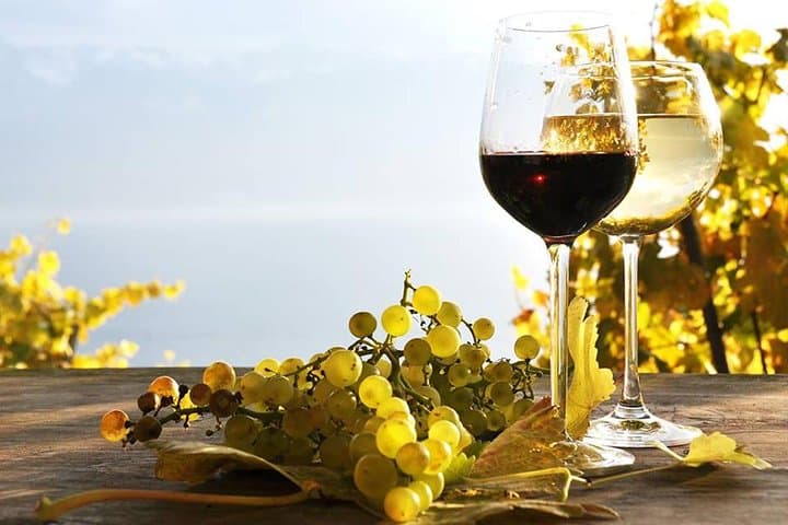 Private Wine Tour in Azerbaijan — Ismayilli & Gabala Winery Visit and Tasting photo 2
