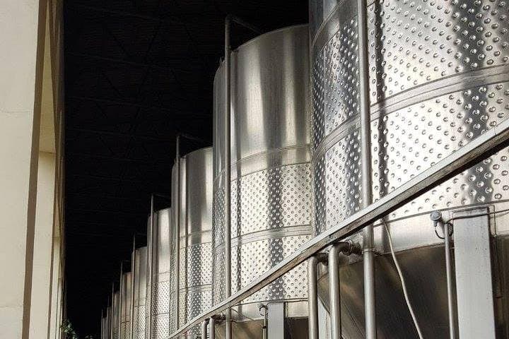 Private Wine Tour in Azerbaijan — Ismayilli & Gabala Winery Visit and Tasting photo 3