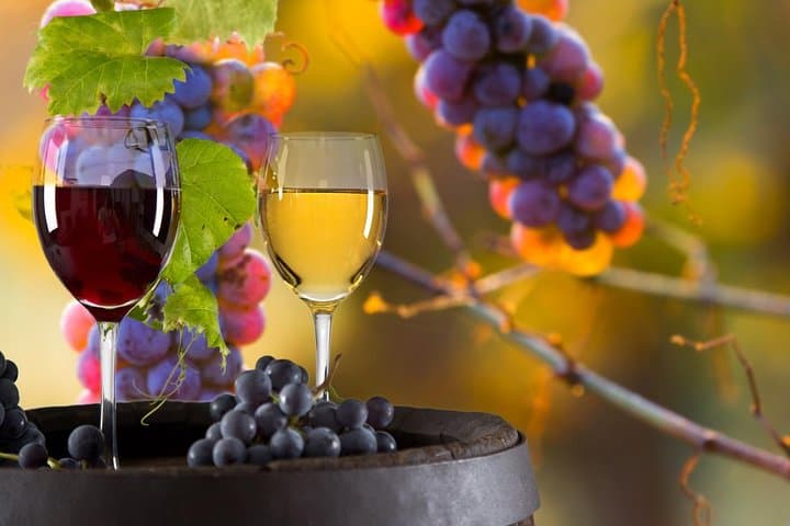Private Wine Tour in Azerbaijan — Ismayilli & Gabala Winery Visit and Tasting photo 6