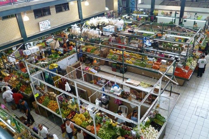 Half-Day Manzanillo City Tour: Beaches, Markets & Iguanas photo 2