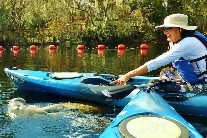 Blue Springs Manatee Kayak Tour — Paddle with Manatees Near Orlando photo 3