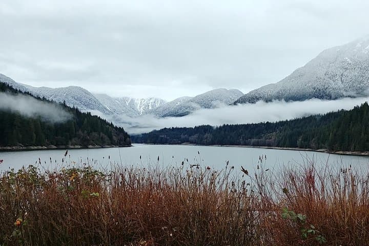 North Vancouver Discovery Private Tour: Capilano, Deep Cove & Grouse Mountain Day Trip photo 2