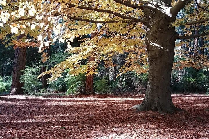 Vancouver City Highlights Private Tour — Waterfront, Granville Island & Stanley Park photo 3