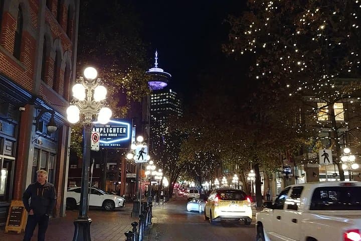 Vancouver Christmas Festival of Lights: Private Holiday Lights Tour photo 3