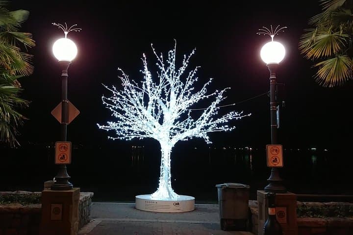 Vancouver Christmas Festival of Lights: Private Holiday Lights Tour photo 5