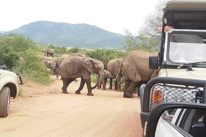 Tented Kruger Safari: 4-Day Camping Game Drives from Johannesburg photo 4