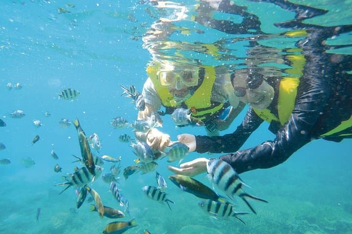 Perhentian Island Snorkeling Day Trip from Kuala Besut Jetty — Full-Day Reef Tour