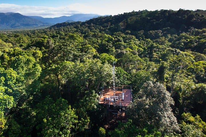 Explore the Daintree Discovery Centre: Rainforest Canopy Walks & Wildlife Encounters photo 3