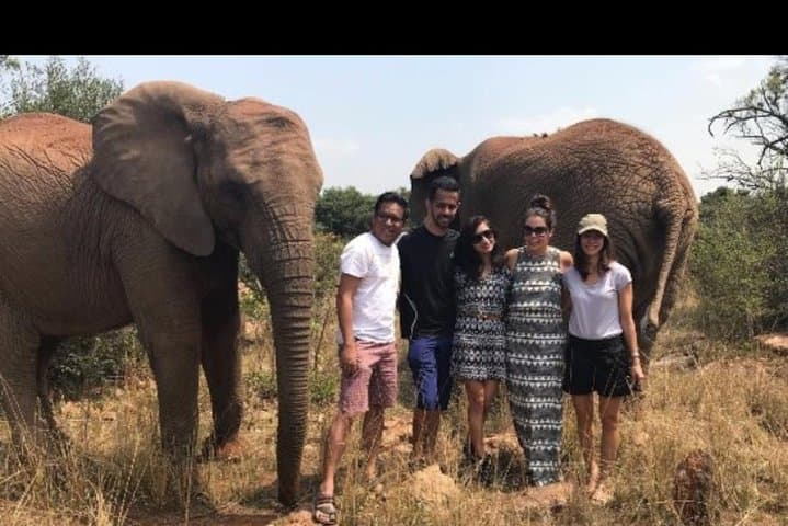 Elephant and Monkey Walk at Hartbeespoort: Private Sanctuary Experience from Johannesburg photo 4