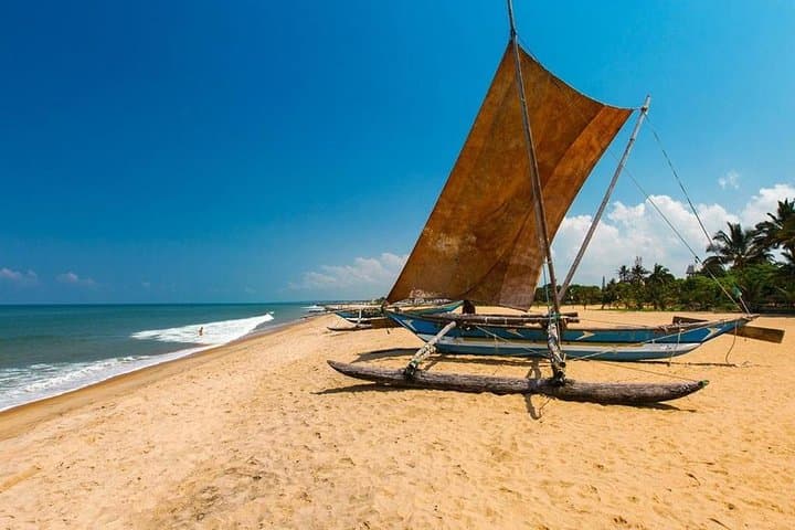 Explore Negombo: A Journey Through Coastal Wonders photo 6