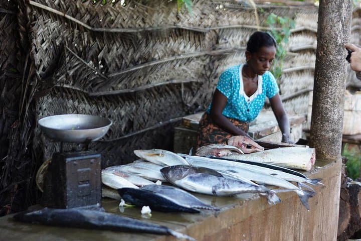 Explore Negombo: A Journey Through Coastal Wonders photo 5