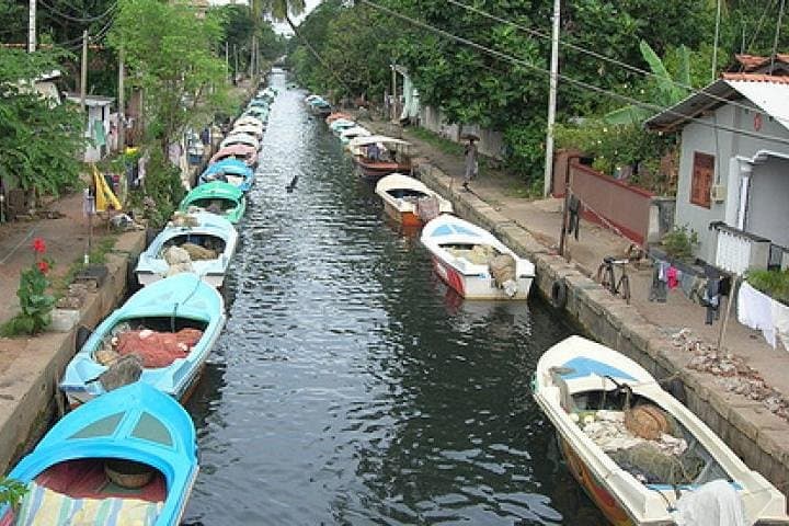 Explore Negombo: A Journey Through Coastal Wonders