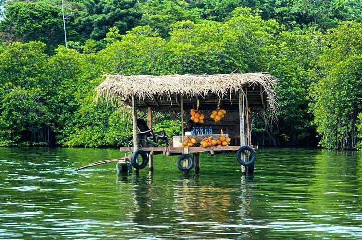 Colombo Shore Excursion: Meetiyagoda Moonstone Mine, Madu River & Bentota Beach Day Trip photo 6