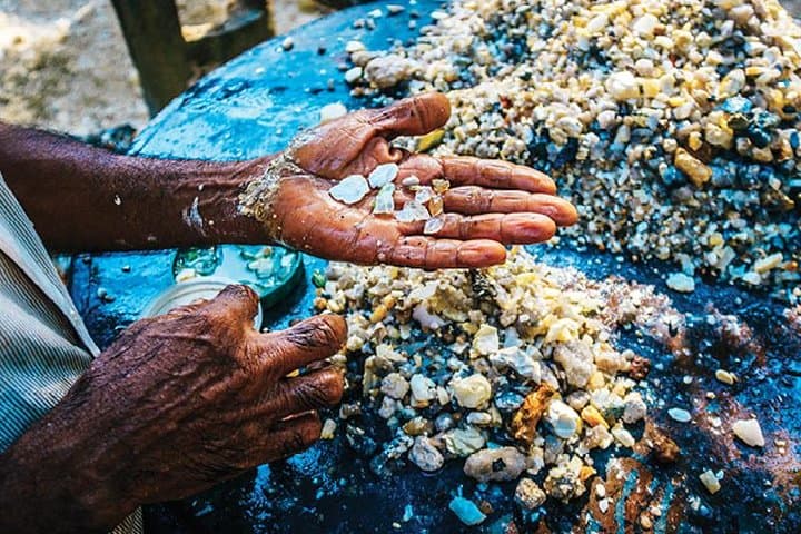 Colombo Shore Excursion: Meetiyagoda Moonstone Mine, Madu River & Bentota Beach Day Trip photo 3