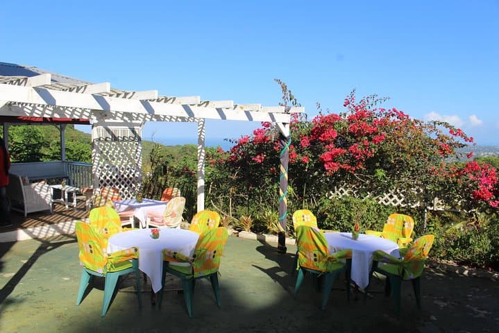 Ahhh Ras Natango Garden & Gallery — Montego Bay Mountain Views and Hummingbirds photo 3