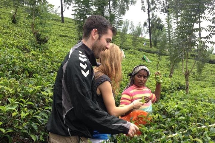 Nuwara Eliya Day Tour: Tea Plantations, Waterfall & Sita Amman Temple photo 1