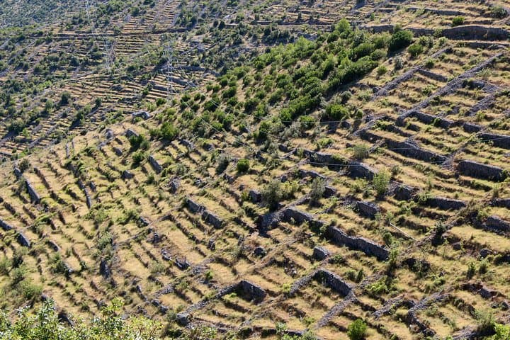 Hvar Lavender Fields Small-Group Tour — Brusje Village & Coastal Vistas photo 5