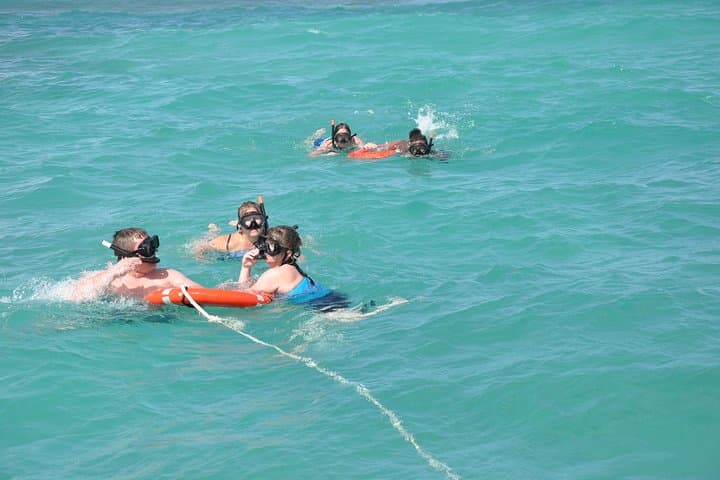 Explore Punta Cana’s Marine Wonders: Snorkeling, Sharks, and Stingrays photo 4