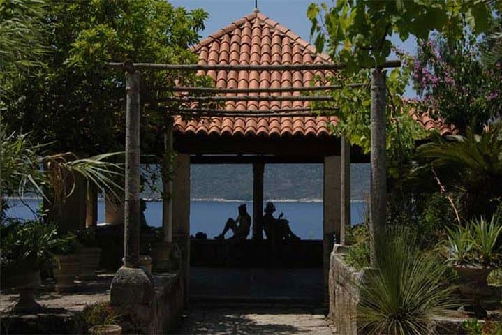 Dubrovnik Panorama and Trsteno Arboretum Private Photo Tour photo 5