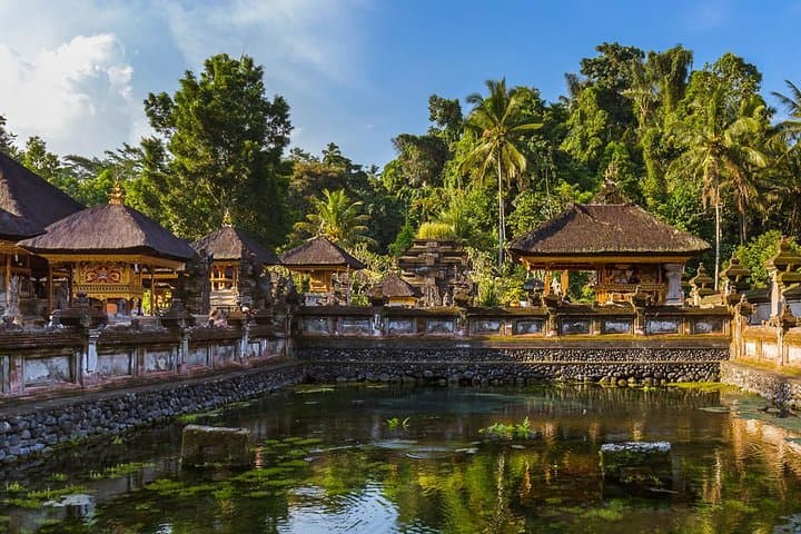 All of Ubud: Monkey Forest, Volcano Views, Temples & Tegalalang Rice Terraces photo 6