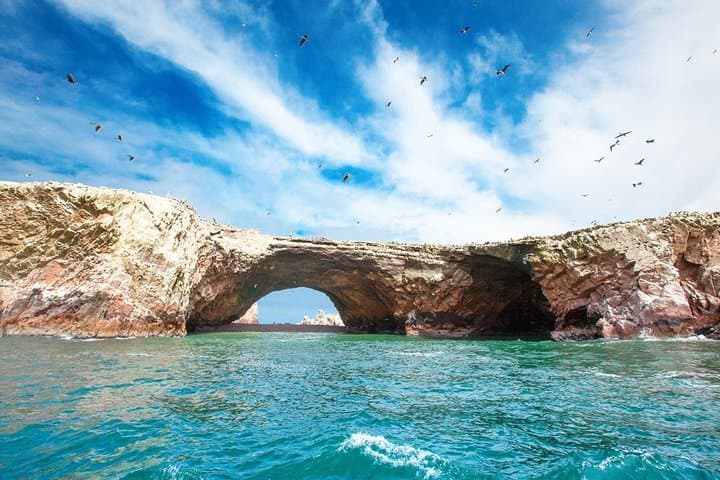 Ballestas Islands and Paracas Reserve Day Trip from Lima by Bus