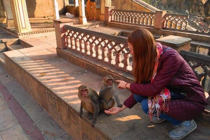 10-Day Rajasthan & Agra Tour: Private Guide to Delhi, Agra, Jaipur, Jodhpur & Udaipur photo 2