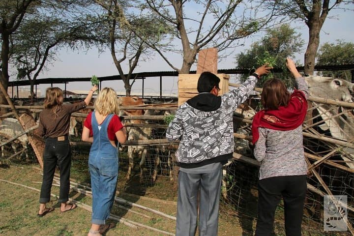 10-Day Rajasthan & Agra Tour: Private Guide to Delhi, Agra, Jaipur, Jodhpur & Udaipur photo 3