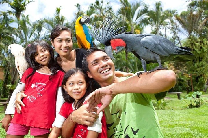 Bali Bird Park Admission with Hotel Transfer — Bird Shows, Breeding Programs & Tropical Gardens