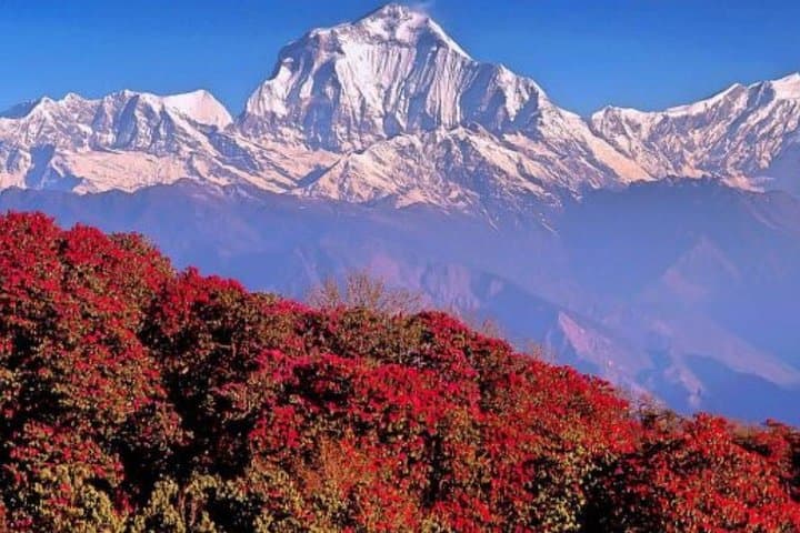 Australian Camp & Dhampus Trek: 2-Day Annapurna Views from Pokhara photo 6