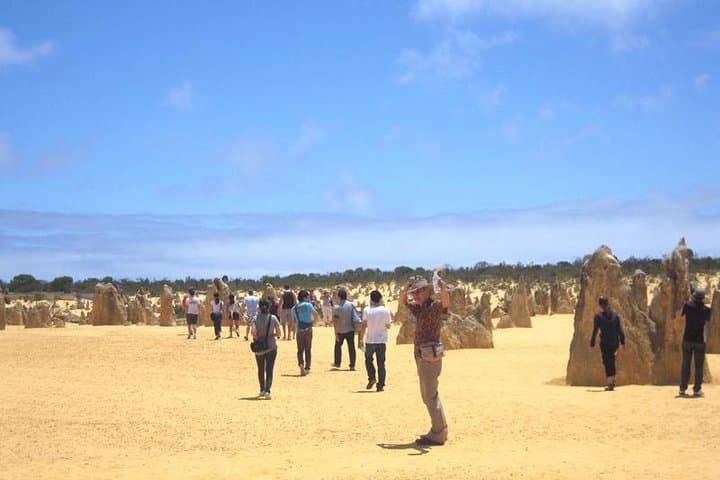 Perth to the Pinnacles & Rottnest: Scenic Air and Ground Day Tour photo 2
