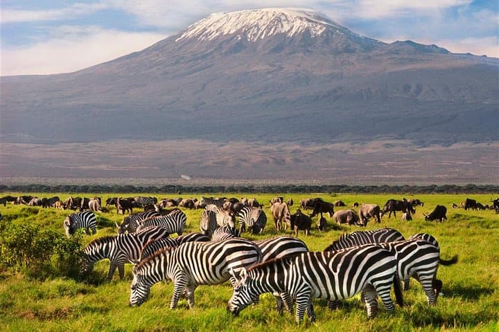 3-Day Amboseli & Tsavo Safari: Kilimanjaro Views, Mzima Springs & Big Elephants photo 4