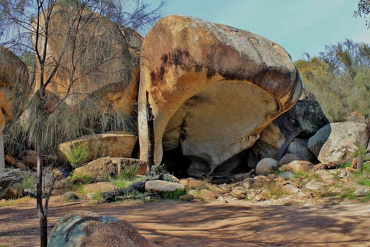Wave Rock and Pinnacles Morning Air & Ground Tour from Perth photo 5