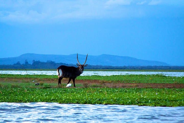 Two-Day Mount Longonot Hike and Hell's Gate Biking — Naivasha Rift Adventure photo 2