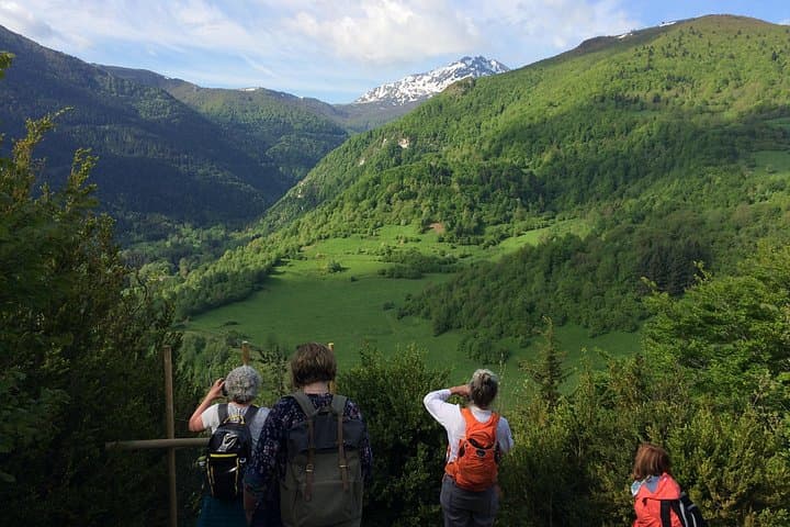 Hike Montségur Castle and Stroll Medieval Mirepoix: Private Day Tour from Toulouse photo 3