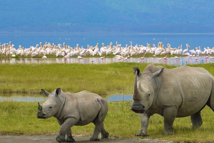 Overnight Hell's Gate & Lake Nakuru: Bikes, Boat Ride and Rhinos in 48 Hours photo 2