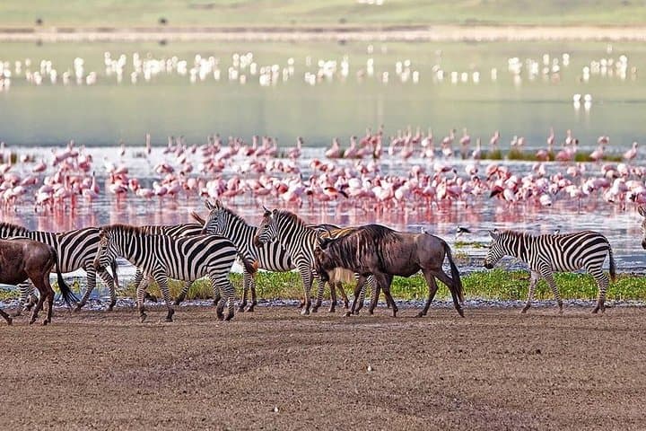 Overnight Hell's Gate & Lake Nakuru: Bikes, Boat Ride and Rhinos in 48 Hours photo 6
