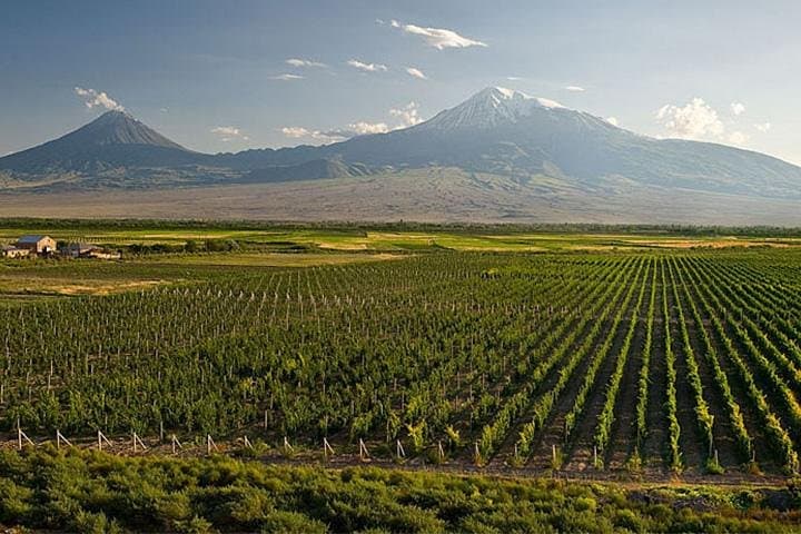 Private Tour to Khor Virap Monastery with Mount Ararat Views from Yerevan photo 2