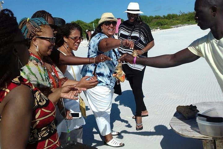 Providenciales Private Island Tour: Beaches, Ruins & Local Flavors photo 2
