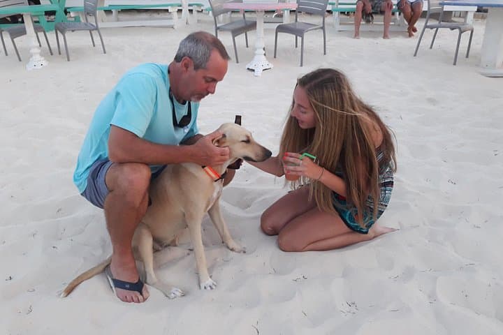 Providenciales Private Island Tour: Beaches, Ruins & Local Flavors photo 6