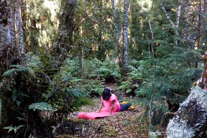 Forest Bathing on Terceira: Nature Therapy Walks in the Azores