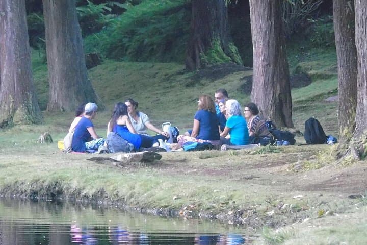 Forest Bathing on Terceira: Nature Therapy Walks in the Azores photo 2