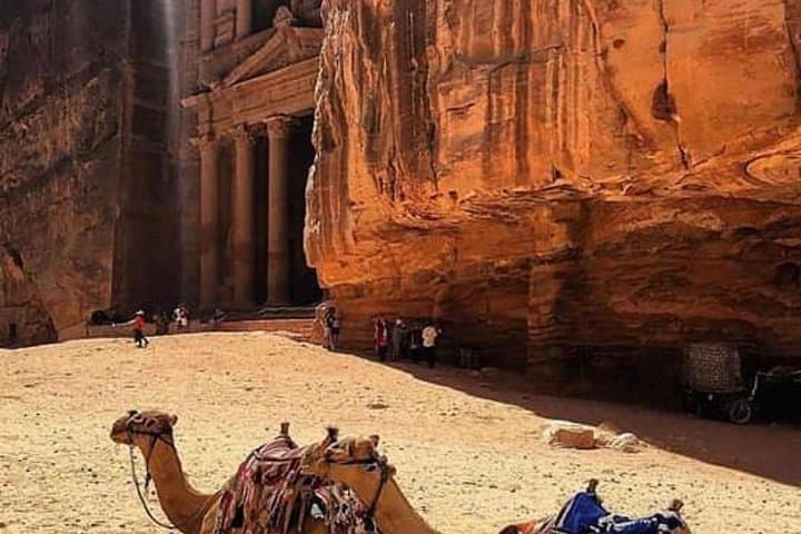 Petra Day Tour from Amman: A Practical Guide to the Rock-Cut City photo 3