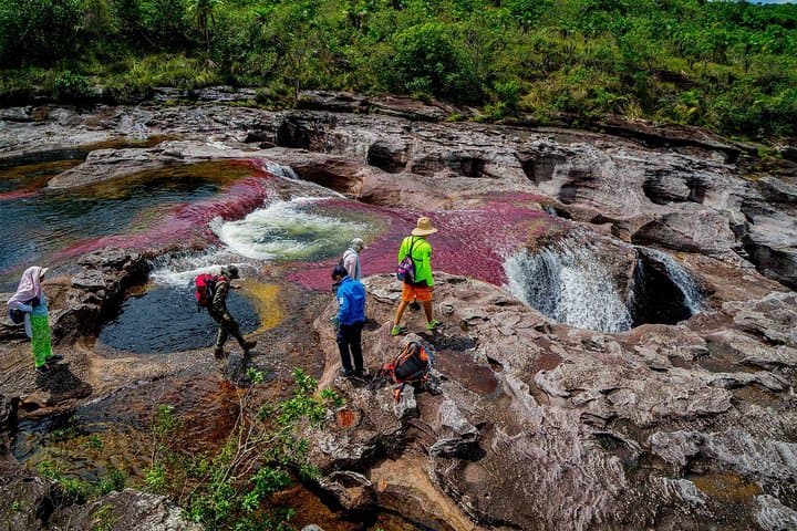 3-Day Caño Cristales Rainbow River Tour from Bogotá — Guide to Colombia's Rainbow River photo 3