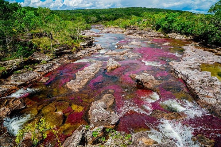 3-Day Caño Cristales Rainbow River Tour from Bogotá — Guide to Colombia's Rainbow River photo 4