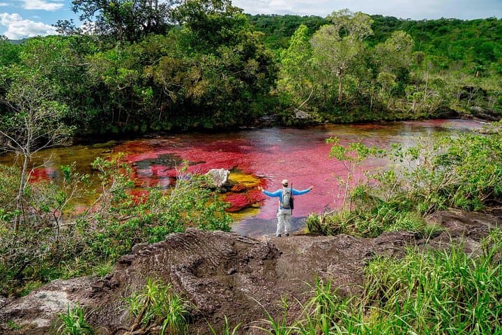 3-Day Caño Cristales Rainbow River Tour from Bogotá — Guide to Colombia's Rainbow River photo 5