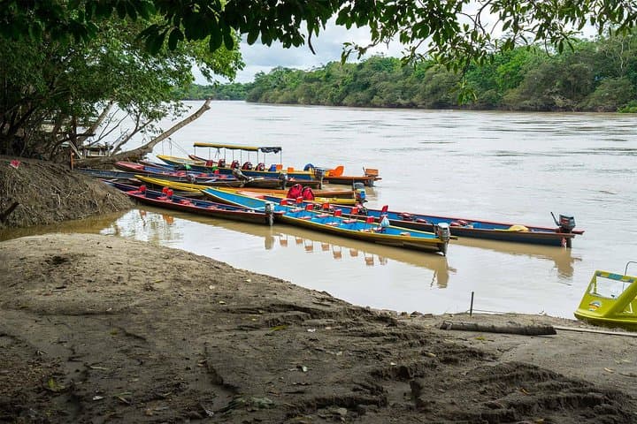 Caño Cristales & La Macarena: 4-Day River and Jungle Adventure from Bogotá photo 5